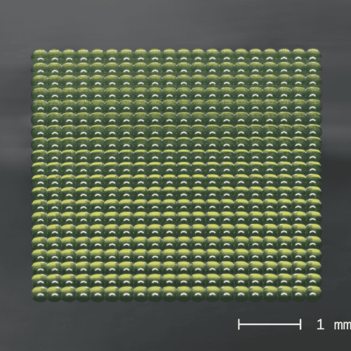 20x20 lens array