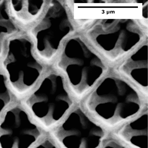 Novel platinum microstructures produced with a NanoOne 2PP 3D-printer.