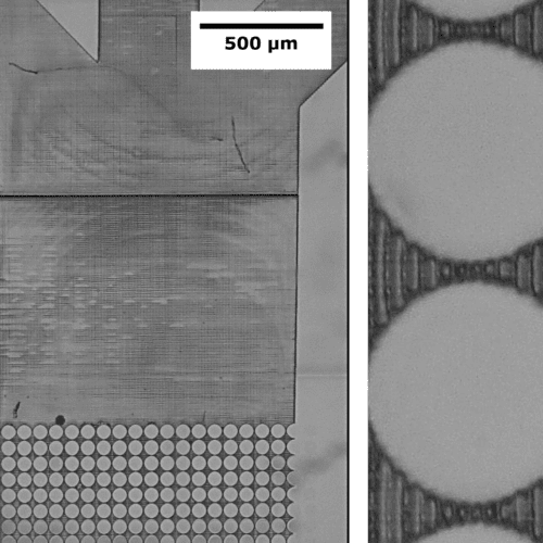 Single-micron embedded microfluidic chips using the NanoOne 2PP 3D-printer.
