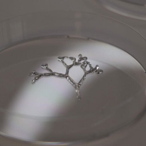 Microvascular structure printed in a Human placenta substrate® derived bio ink